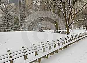 Central Park in snow, Manhattan, New York City