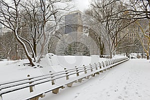 Central Park in snow, Manhattan, New York City