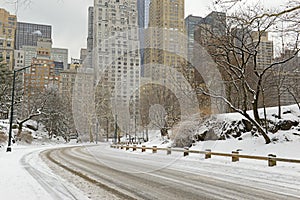 Central Park in snow, Manhattan, New York City