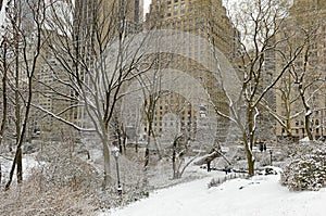 Central Park in snow, Manhattan, New York City