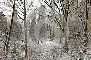 Central Park in snow, Manhattan, New York City