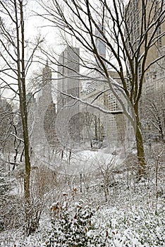 Central Park in snow, Manhattan, New York City