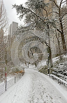 Central Park in snow, Manhattan, New York City