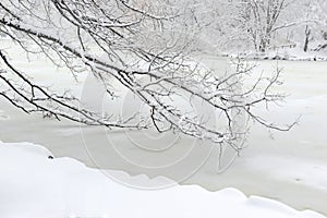 Central Park in the snow after snowstorm, New York City