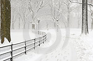 Central Park in the snow after snowstorm, New York City