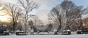 Central Park after snow storm