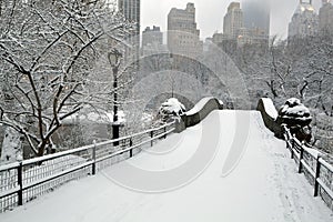 Central Park in snow storm