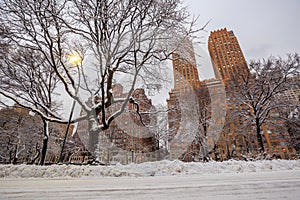 Central Park after the Snow Strom Linus