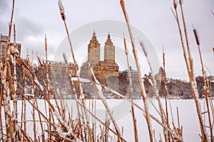 Central Park after the Snow Strom Linus photo