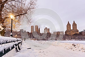 Central Park after the Snow Strom Linus