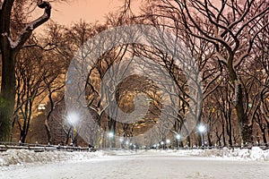 Central Park after the Snow Strom Linus