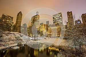 Central Park after the Snow Strom Linus