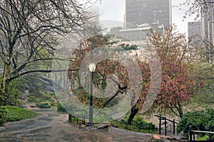 Central Park in spring