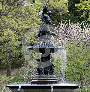 Central Park in Spring