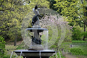 Central Park in Spring