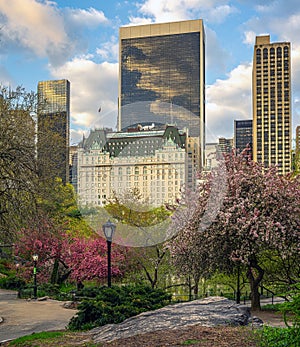 Central Park in spring on cloudy day