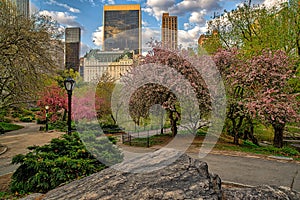 Central Park in spring on cloudy day