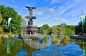 Central Park in a sunny day in New York