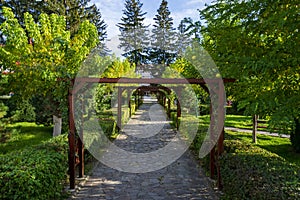 The central park of Targu Ocna, Bacau, Romania