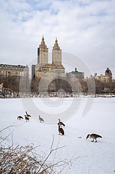 Central Park and Upper West Side Manhattan