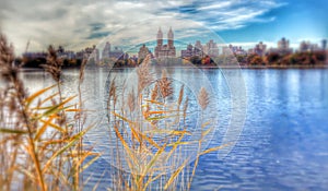 Central Park West - Jacqueline Kennedy Onassis Reservoir looks over to the Upper West Side - NYC - UWS