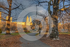 Central Park in winter