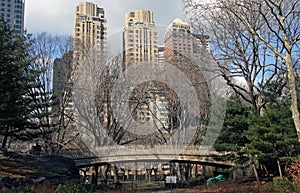 Central park in winter