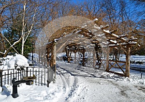 Central Park in the winter, NYC