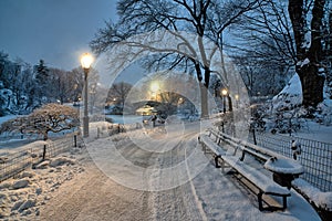 Central Park in winter after snow