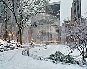 Central Park in winter after snow