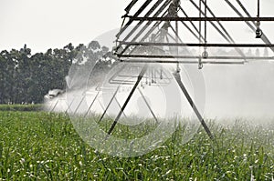 CENTRAL PIVOT IRRIGATION