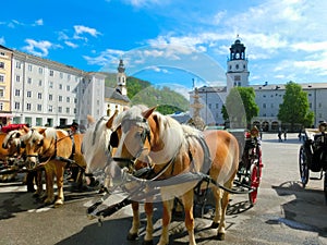 Central place in Salzburg city with carriages and horses