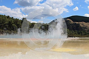 Central Pools of Wai-o-Tapu, Thermal wonderland