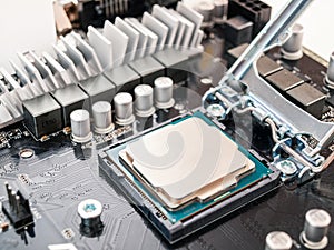 Central processing unit CPU computer server motherboard socket computer components isolated on background