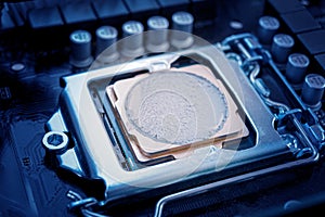 Central processing unit CPU computer server motherboard socket computer components isolated on background close