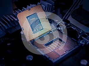 Central processing unit CPU computer server motherboard socket computer components isolated on background close