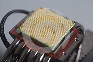 Central processing unit CPU microchip on Computer fan cooler