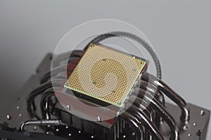 Central processing unit CPU microchip on Computer fan processor