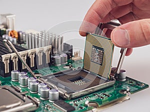 Central processing unit CPU server computer before installing motherboard socket computer components
