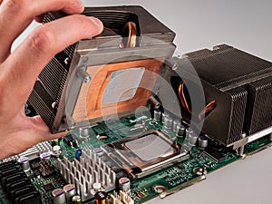 The central processor of a computer with a heat-conducting paste applied to the thermal distribution cover, cooling radiator