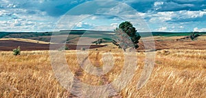 Central Russia agricultural countryside with hills and country road.