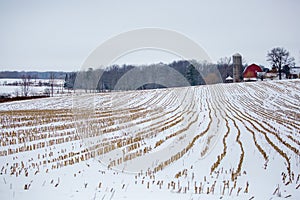 Central Wisconsin farmland with corn crop harvested in January