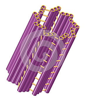 Centriole