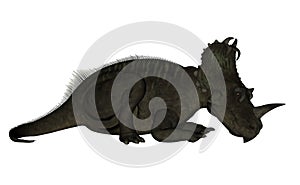 Centrosaurus dinosaur - 3D render