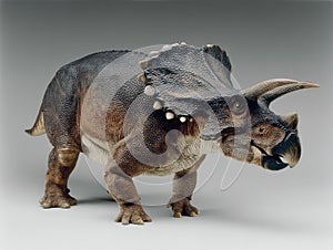 A centrosaurus dinosaur with its distinctive frill image