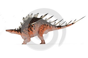 Centrosaurus set of angles on a white background