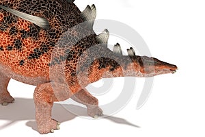 Centrosaurus set of angles on a white background