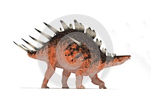 Centrosaurus set of angles on a white background