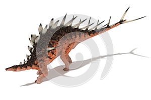 Centrosaurus set of angles on a white background