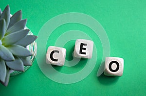 CEO - chief executive officer symbol. Concept word CEO on wooden cubes. Beautiful green background with succulent plant. Business